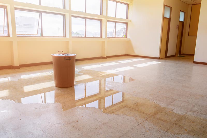 Roof Leak Diagnosis and Repair Tips