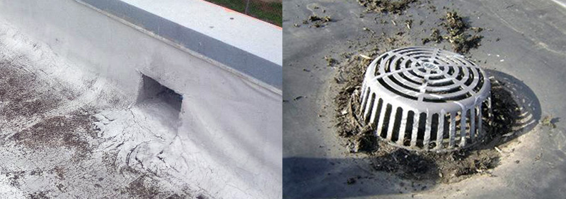 Roof Drain vs Scupper