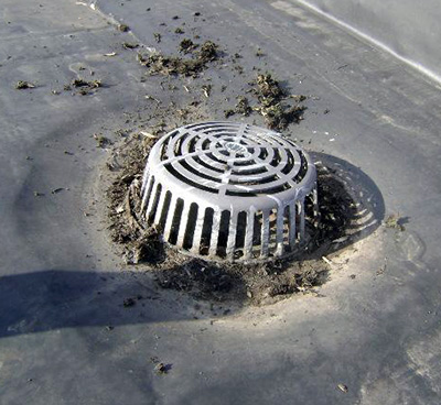Roof Drain