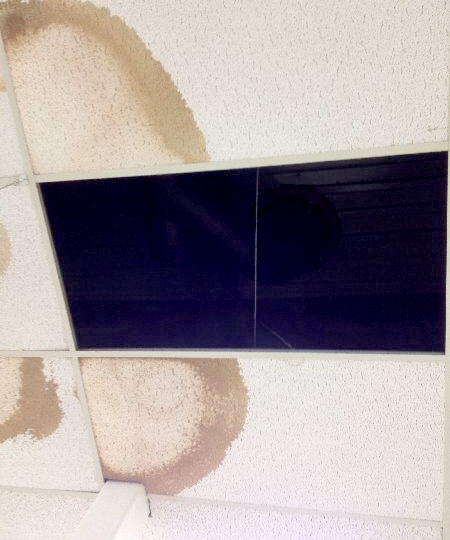 stained-ceiling-tiles Rook leak evidence