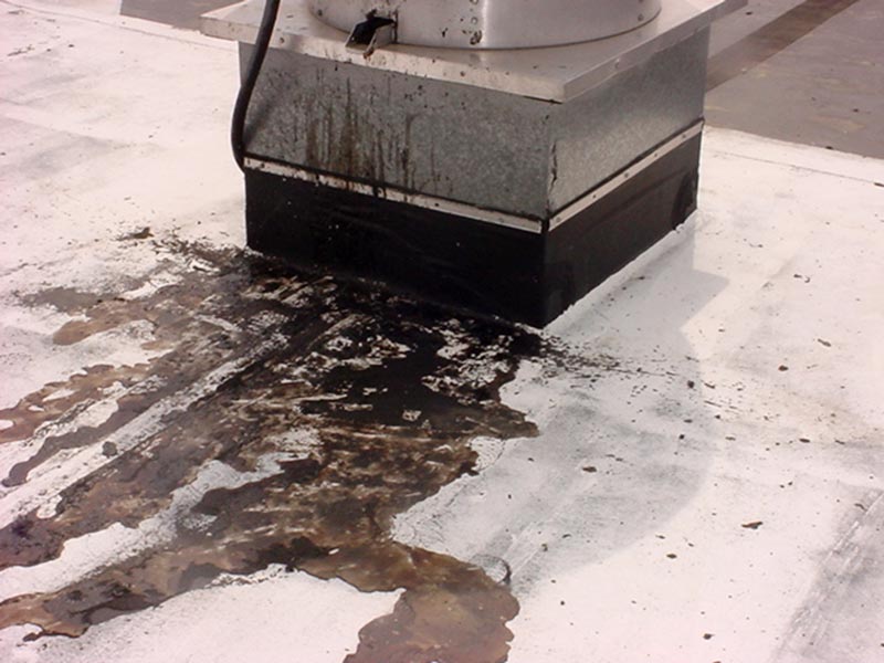 Grease on roof