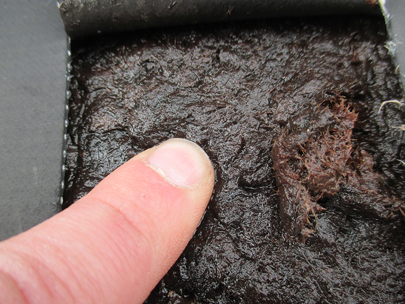 wet-core-cut Wet core cut